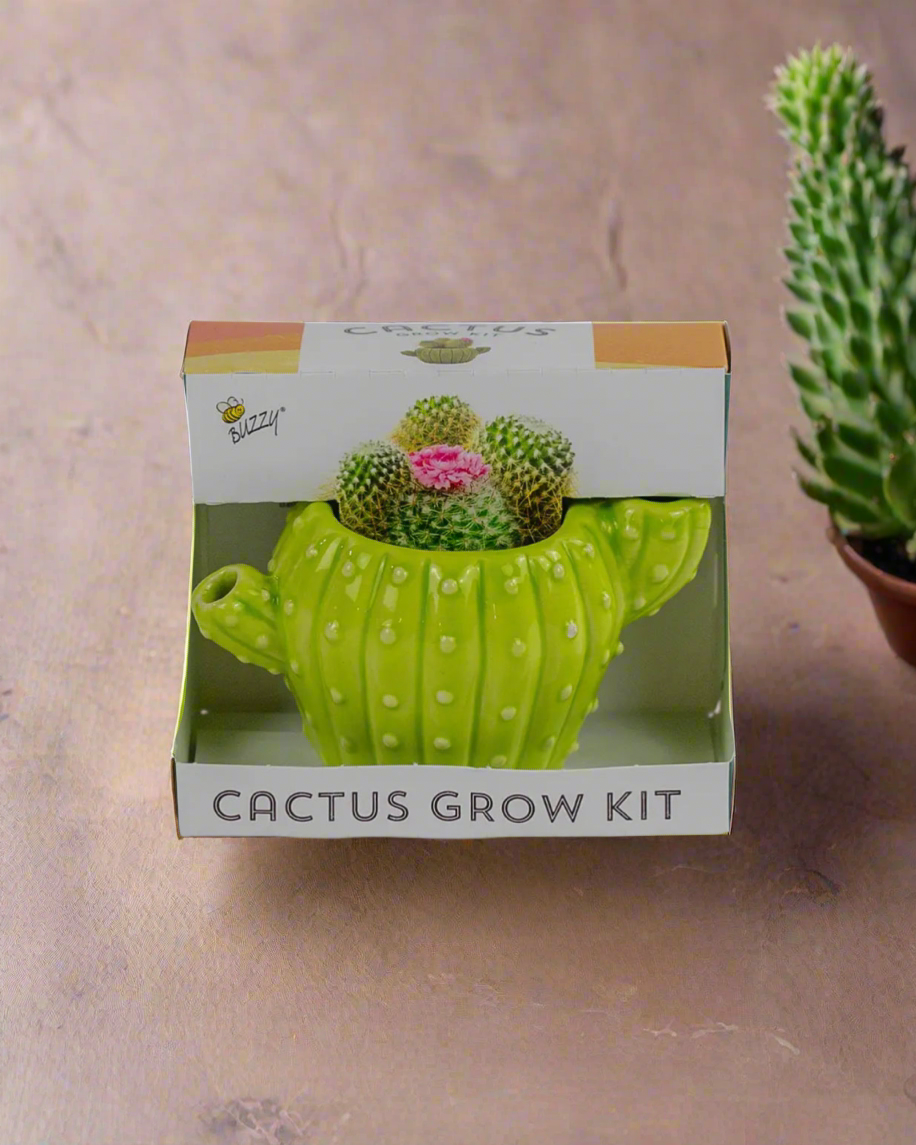 Cactus grow kit