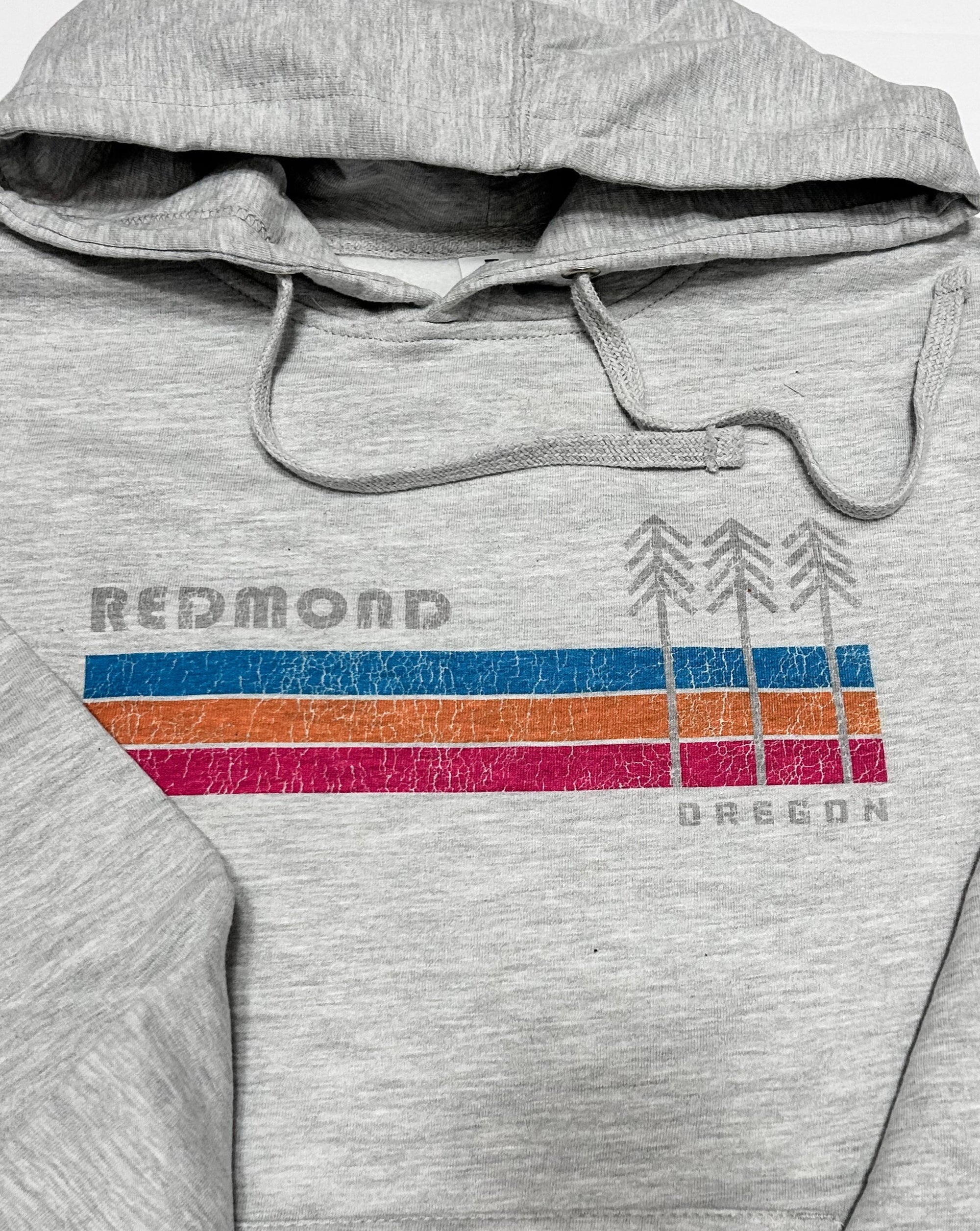 redmond stripe hoodie