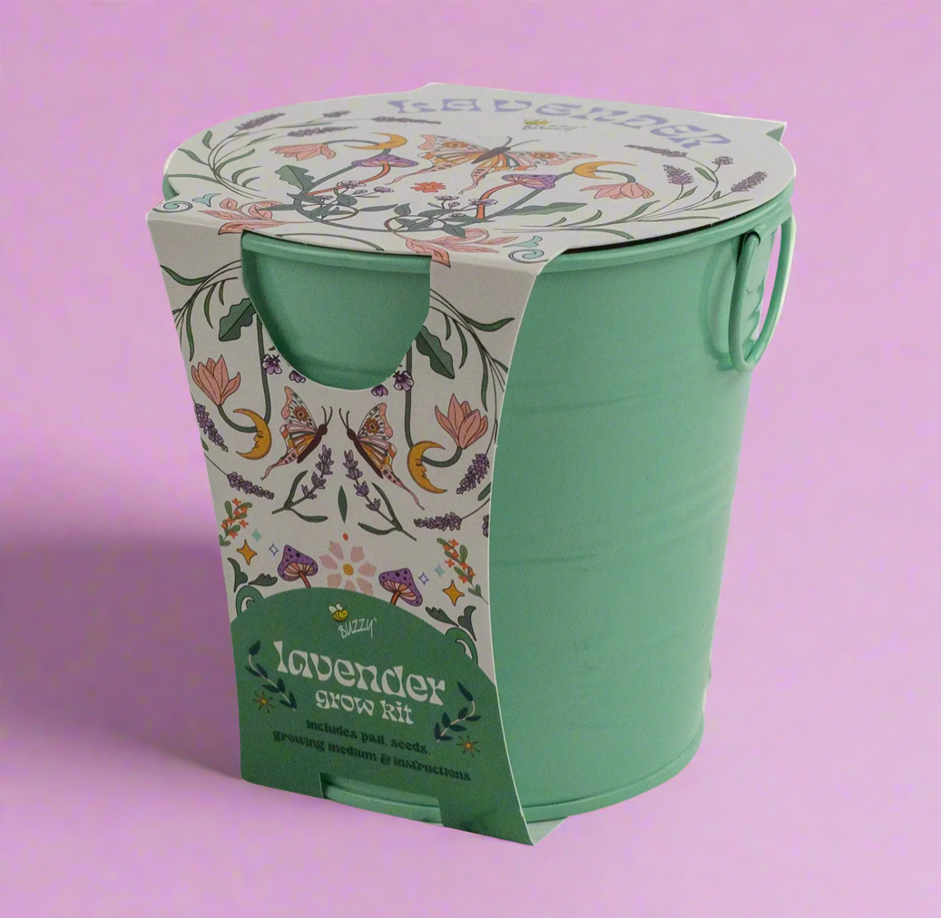 Lavender seed planting kit