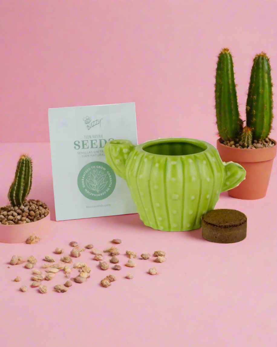 Cactus grow kit