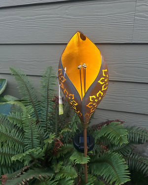 solar light