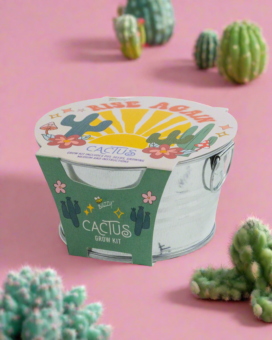 Cactus pail seed kit