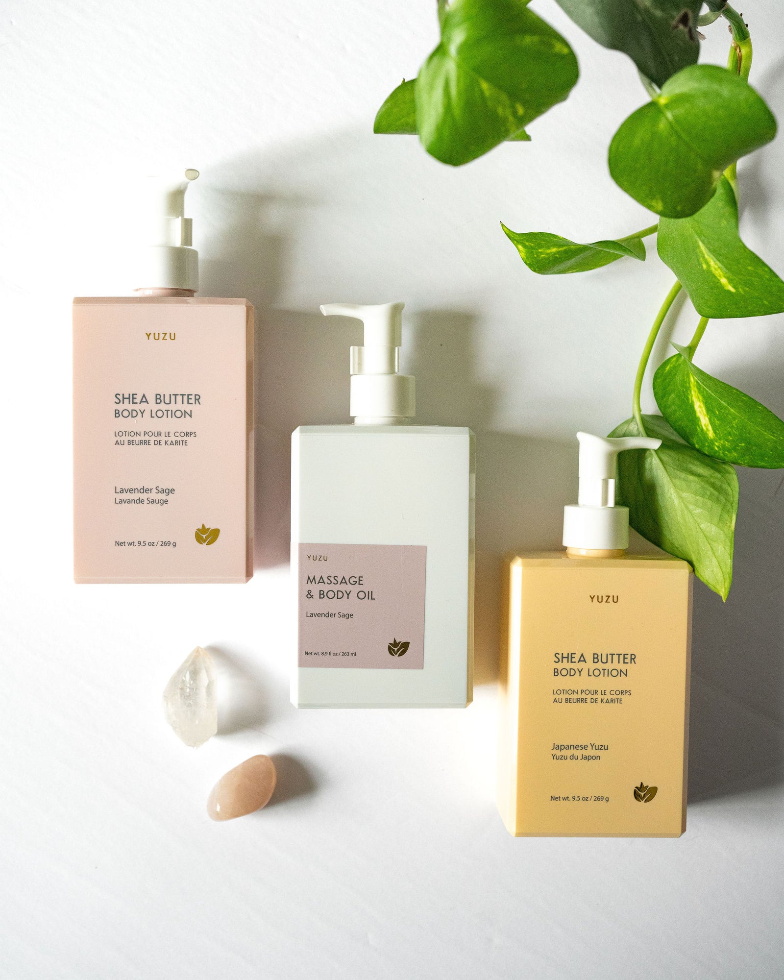 Shea Butter Yuzu Lotion